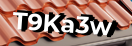Введите код с картинки
