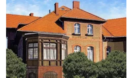Цементно-песчаная минеральная черепица Braas Ревива антик купить в екатеринбурге